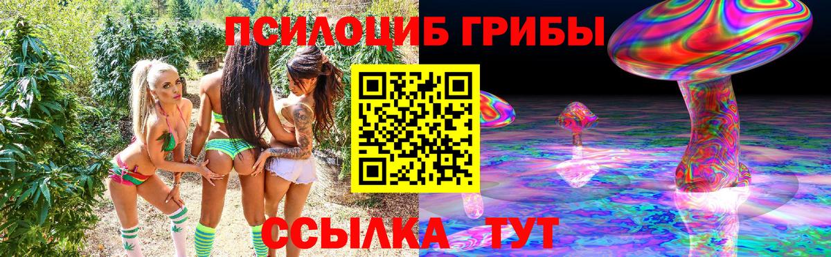 Псилоцибиновые грибы GOLDEN TEACHER Лениногорск