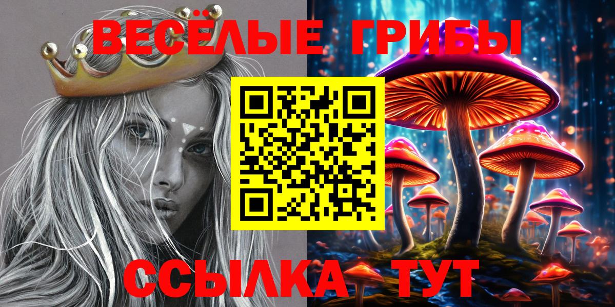 Лениногорск  Галлюциногенные грибы MAGIC MUSHROOMS  Вход с VPN 